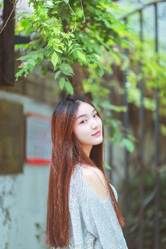 丁香花国语版高清